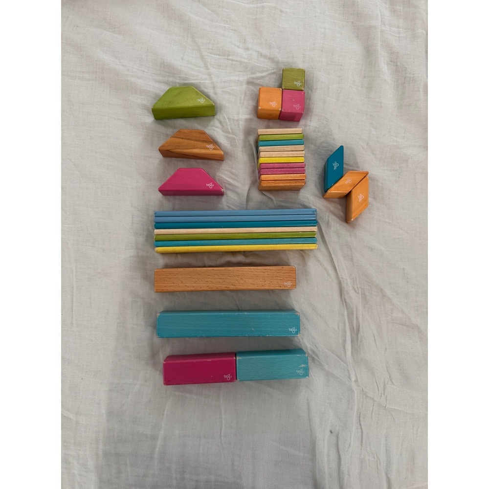 Tegu Magnetic Wooden Building Blocks Multicolor Eco-Friendly Lot of 30 Pieces